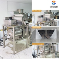 0,5-1t RVS 304 Fruitklopper/Pulpmachine met motor voor hoge productiviteit mango, pruim, sinaasappel, banaan puree & jam