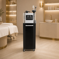 Appareil de massage capillaire professionnel pour la repousse des cheveux, équipement de spa pour le traitement du cuir chevelu, machine de croissance des cheveux pour salon et spa