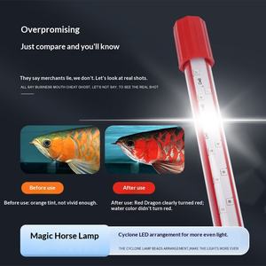 Mayin Divine Light PLUS Tri-PRIMARY สีแดงปลา<span class=keywords><strong>มังกร</strong></span>ไฟพิเศษปรับปรุงนกแก้ว<span class=keywords><strong>ปลา</strong></span>แก้วกันน้ำ8W นำตู้ปลา - Product Image 3