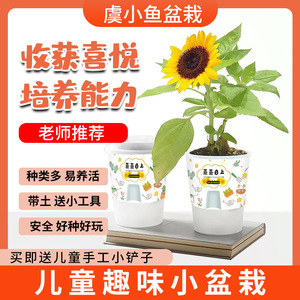 Caja sorpresa de plantas en maceta para niños de preescolar y primaria para observar el crecimiento de las plantas y la germinación de las semillas. - Product Image 3