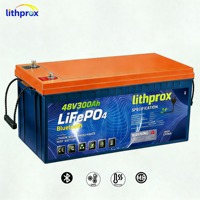 Batterie LiFePO4 Haute Capacité 48V 300AH 15KW Grade A 6000 Cycles pour Chariot de Golf avec BMS Intelligent Bluetooth, Terminal M8, CE RoHS IP67, OEM ODM