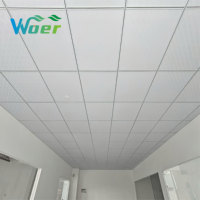 Film de plafond en PVC de qualité industrielle pour usage hôtelier moderne, isolation thermique, imperméable, ignifuge, épaisseur 0,12 mm, décoratif