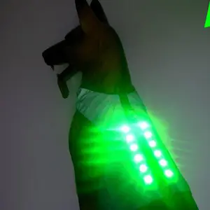 Led ışık Up köpek giysileri aydınlık köpekler etek