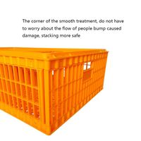 Équipement avicole, cages de transport en plastique pour poulets, cage de transport pour volailles et oiseaux