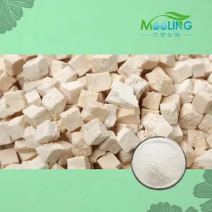 Vente en gros Naturel Poria Cocos Poudre Feuille Poria Cocos Extrait