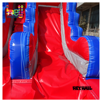 Château gonflable commercial Heyhail en PVC de qualité supérieure, 4,27 m, avec toboggan aquatique et zone de saut, couleur personnalisable