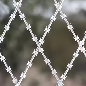 Alambre de Hierro Galvanizado con Orificios Cuadrados, Alambre de Púas Tipo Diamante, <span class=keywords><strong>Malla</strong></span> de Alambre de Seguridad <span class=keywords><strong>Perimetral</strong></span> Antirrobo para Construcción, <span class=keywords><strong>Precio</strong></span> de Fábrica - Product Image 2