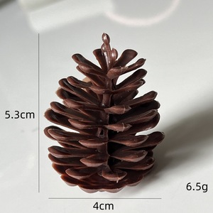 Piñas Secas Naturales con Purpurina <span class=keywords><strong>para</strong></span> Decoración Navideña, San Valentín y Año Nuevo, Venta al por Mayor T3 - Product Image 2