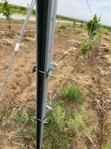 Poteau de vignoble galvanisé à chaud de haute qualité, plus résistant, 3m, vente en gros - Product Image 6