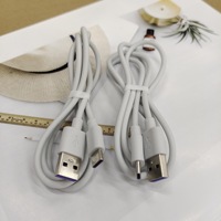 Câble USB C le moins cher chaud chargeant uniquement le câble de données de chargeur de Type C pour le téléphone portable longueur personnalisée 0.2m 0.5m 1m 2m 3m