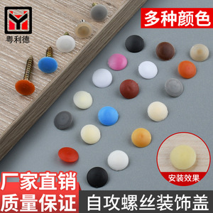 Yue Lide – Capuchons décoratifs écologiques modernes et simples en plastique à tête plate Phillips pour quincaillerie de meubles, 2000 pièces - Product Image 3