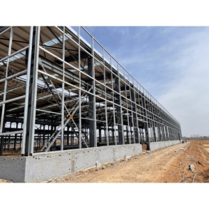 Xác minh nhà sản xuất công nghiệp Kết Cấu Thép kim loại kho lưu trữ nhà kho thép mạ kẽm lưu trữ nhà kho vườn - Product Image 5