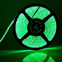 Pita LED Fleksibel Tahan Air IP67 Tegangan Tinggi AC110-220V Smd 2835 60LEDS/M RGB