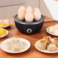 Nouvelle conception, cuiseur à œufs électrique portable pour la cuisine, en acier inoxydable et PP, capacité de 7 œufs