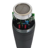 Design original Musicien professionnel Microphone à condensateur pour enregistrement Capsule Mic DIY par MaiAo