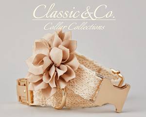 Conjunto de Collar y Correa de Encaje Color Marfil para Boda con Flor Desmontable para Mascotas Macho/Hembra, Porta-Allianzas Nupcial Dorado con Nombre Personalizado - Product Image 5