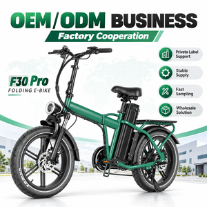 จักรยานไฟฟ้าพับได้ QMWHEEL F30 Pro UK Stock ขนาด 20 นิ้ว 250W 48V 45Ah ระยะทางสูงสุด 65 ไมล์ ขายส่งจักรยานไฟฟ้า - Product Image 1