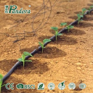 Tubo <span class=keywords><strong>per</strong></span> irrigazione a goccia in PE LDPE, in plastica PC, con imballaggio a rotolo, <span class=keywords><strong>per</strong></span> giardinaggio e agricoltura - Modello Tubo <span class=keywords><strong>per</strong></span> irrigazione - Product Image 4