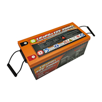 Gros Stock Grmany 12v 100ah 150ah 200ah Batterie Lifepo4 rechargeable avec application intelligente