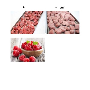 Machine de lyophilisation commerciale en acier inoxydable 304, haute efficacité, prix compétitif, moteur pour aliments, légumes, fruits - Product Image 4