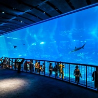 Aquarium décoratif transparent en acrylique grande taille, ensemble complet avec alimentation 100W pour salon ou bureau – Offre Spéciale
