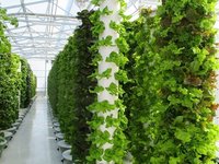 Tour de Culture Verticale Hydroponique Aéroponique pour Jardin d'Herbes Aromatiques, Fleurs et Légumes, Serre Agricole, Culture Hors-Sol en PVC