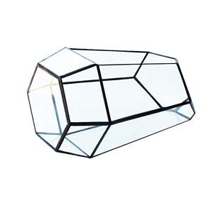 Pot de fleurs d'intérieur moderne, terrarium en verre art déco avec polygone géométrique, récipient en laiton pour <span class=keywords><strong>la</strong></span> décoration de plantes succulentes en forme de fougère. - Product Image 6