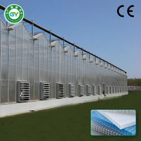 Grote polycarbonaat kasconstructie voor de landbouw met gegalvaniseerd stalen frame en externe schaduwafwerking