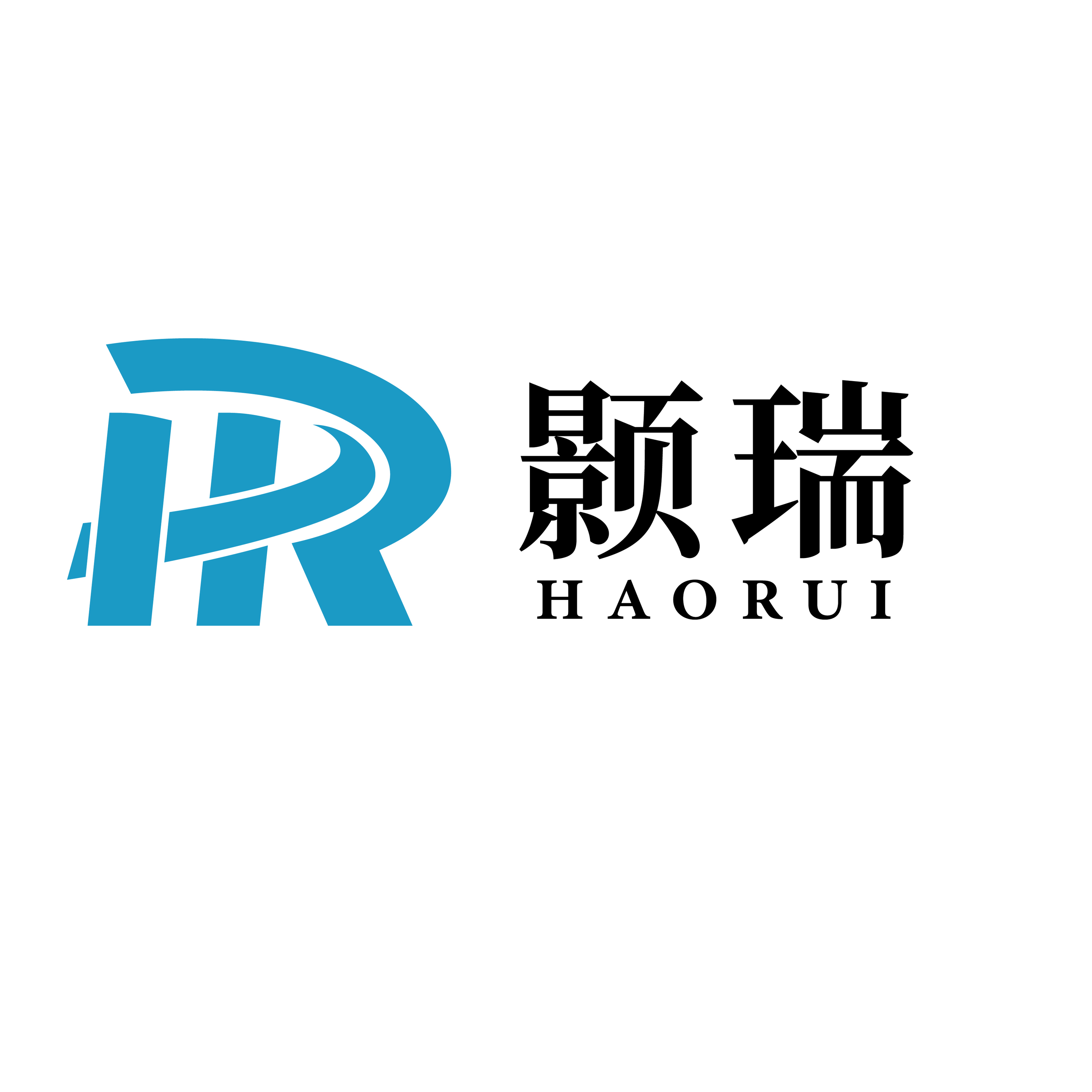 Shanghai Haorui Medical Technology Co., Ltd. logo