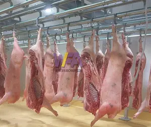Maquinaria de matadero automático de cerdos Línea de matadero de carnicero para equipo de matanza de cerdo