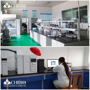 דגים או אצות שמן DHA אבקה/אומגה 3 אבקה/DHA אבקה - Product Image 6