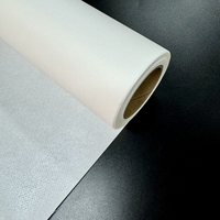 Matériaux de couture Gum Stay Interlining Pa Thermo Hot Melt Filet adhésif avec papier