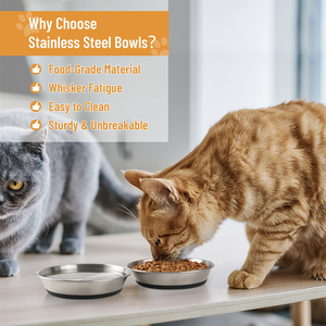 Assiettes à vaisselle pour <span class=keywords><strong>chat</strong></span> antidérapantes peu profondes pour petits chiens chiots bols pour chats bols pour chats en acier inoxydable pour nourriture et eau - Product Image 2