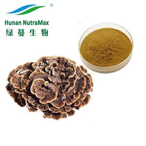 キノコエキス50% 多糖トルコテール健康食品用 - Product Image 2