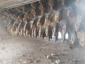 Año 2018 hecho WIRTGEN WR2500S USADO Estabilizador de suelo/reciclador en frío WR2000 WR2500k WR2500sk WR200 WR550 Recuperadores - Product Image 5