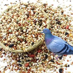 Натуральные злаки 2 кг, сбалансированные продукты для молодых голубей, добавки для голубей, смесь семян, еда для голубей для гонок, корм для голубей