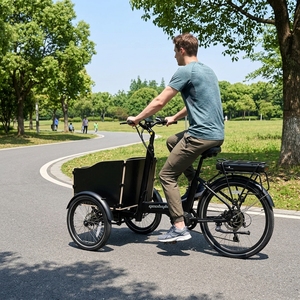 Triciclo Eléctrico de 3 Ruedas con Motor Central de 48v 250w para Personas Mayores/Discapacitadas, Carrocería Abierta, Cuadro de Aleación, 25KM/H, 9 Velocidades, <span class=keywords><strong>Desviador</strong></span> Hidráulico - Product Image 1