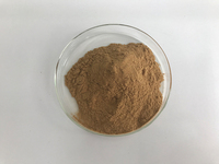 Extrait de gingembre noir en poudre CAS 21593-77-1 0,2% (SAC) S-Allyl-L-Cystéine