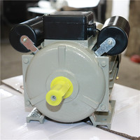 Moteur monophasé 1HP pour pompe à eau et machine à broyer, avec certificat CE et certificat ISO9001
