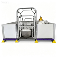 Équipement d'élevage pour truies, boxes de maternité pour porcs, cages d'élevage porcin