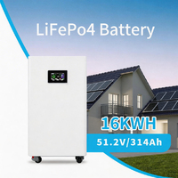 Batterie de stockage d'énergie Lifepo4 de type solaire 15 kWh, sortie stable pour système solaire hybride domestique