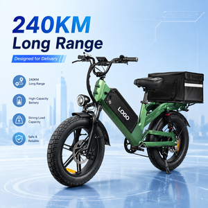 Bicicleta Eléctrica de Carga D55 con Neumáticos Gruesos de 20 Pulgadas, 750W, 48V55Ah, Alcance de 240 km, Venta al Por Mayor, Entrega OEM - Product Image 1