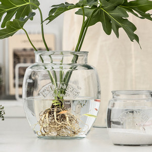 Aquarium rond de bureau Kilner (Royaume-Uni) de 850 ml pour poissons Betta, en verre épais, petit aquarium domestique pour poissons rouges - Product Image 5