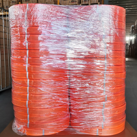 Sangle en polyester de haute qualité 100% pour la fixation de cargaisons 1t 2t 3t 4t 5t 8t 10t