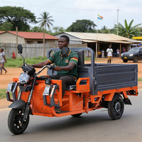 Tricycle Électrique à 3 Roues Populaire en Promotion pour Adultes, Tricycle de Transport à Caisse Ouverte avec Capacité de Charge de 600 kg et Moteur DC Sans Balais