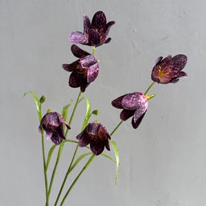 <span class=keywords><strong>Flores</strong></span> Artificiales 3D <span class=keywords><strong>de</strong></span> Alta Calidad con Tacto Real, Ramas <span class=keywords><strong>de</strong></span> <span class=keywords><strong>Flores</strong></span> Blancas Multicabezas para Decoración del Hogar, Mesa, Navidad, Dí<span class=keywords><strong>a</strong></span> <span class=keywords><strong>de</strong></span> la Madre - Product Image 5