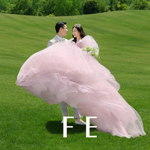 Pink Ball Gown Wedding Dress V Neck Empire Waist Tulle Long Sleeve For Outdoor Photography Studio Wear - Product Image 3