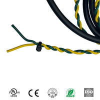 Faisceau de câblage électrique personnalisé avec porte-fusible intégré, paire torsadée et assemblage de câbles isolés multicouches OEM
