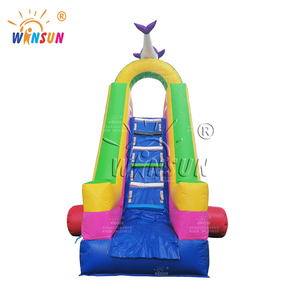 Glissade gonflable WINSUN Dolphin avec coussin d'amortissement pour aire de jeux - Product Image 4