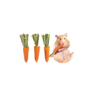 Cute hamster chew sticks, snacks, <b>biscuits</b>, carrots, golden hamsters, dwarf rabbits, guinea pigs, chinchillas, and landscaping - Product Image 1